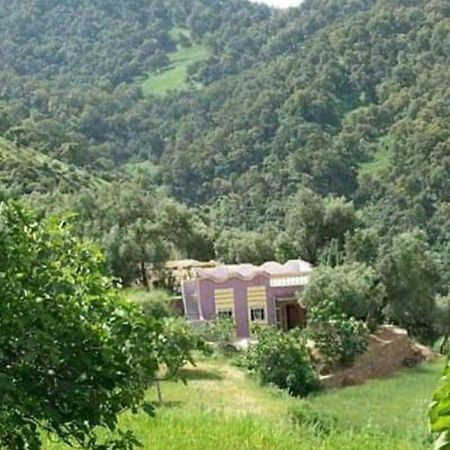دار الضيافة تازكة Maison D'Hotes Tazekka Taza Eksteriør billede